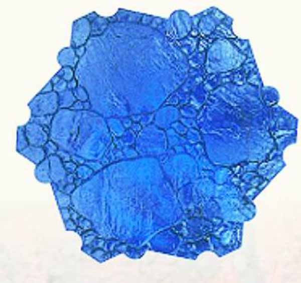 �۰�����ɫ����ӡģ&nbsp;(6)